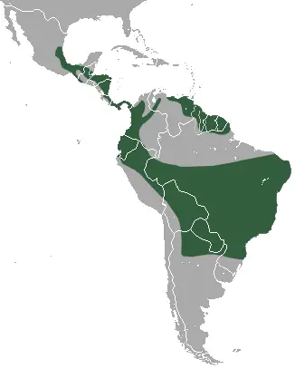 Sylvilagus brasiliensis карта середовища проживання