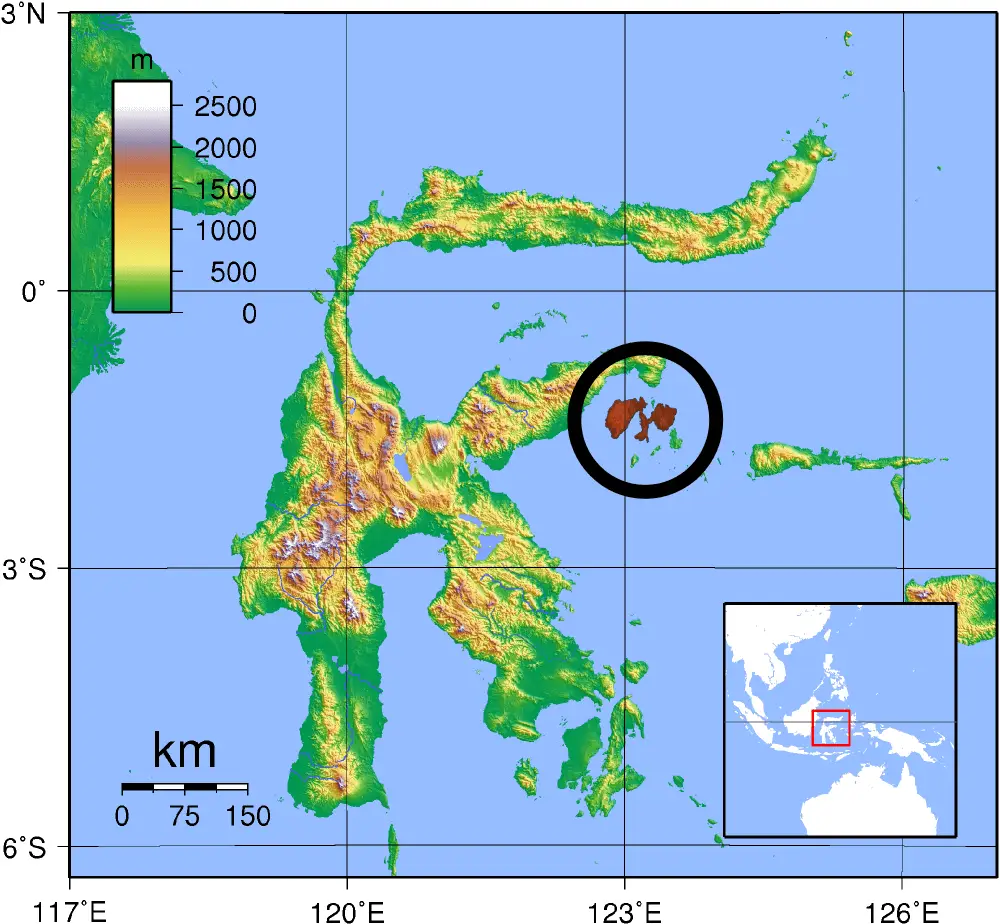 Peleng tarsier habitat map