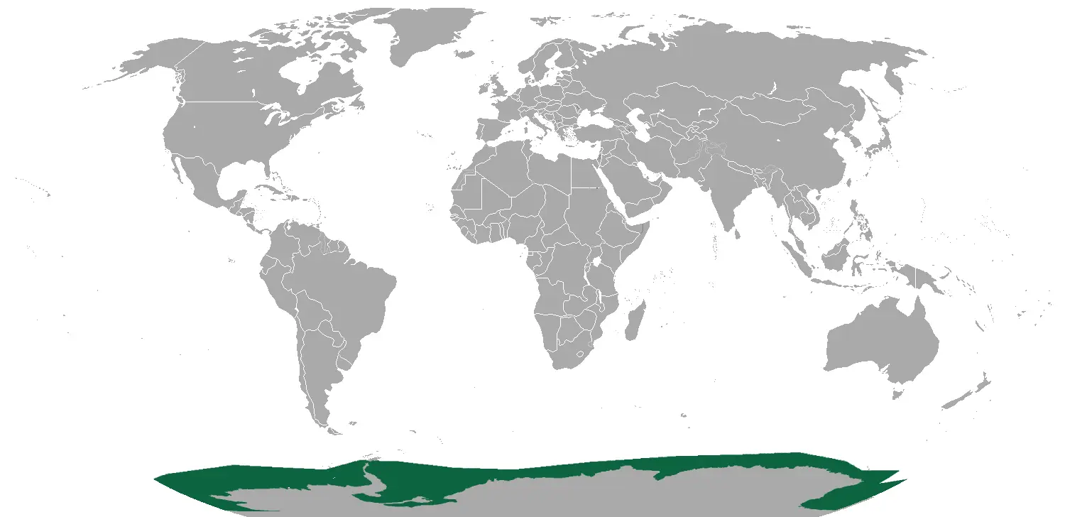 Тюлень Росса карта середовища проживання