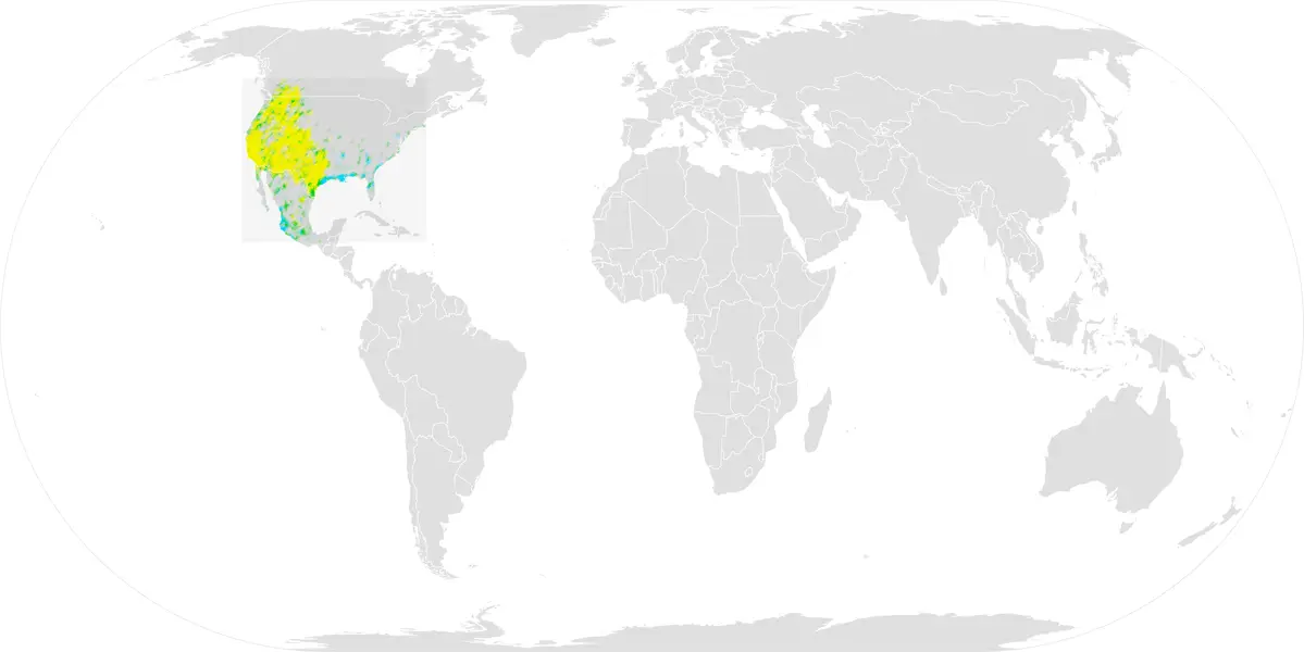 Black-Chinned Hummingbird habitat map