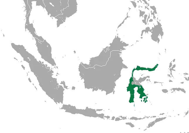 Spectral Tarsier habitat map