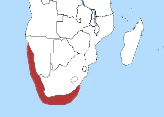 African Penguin  habitat map