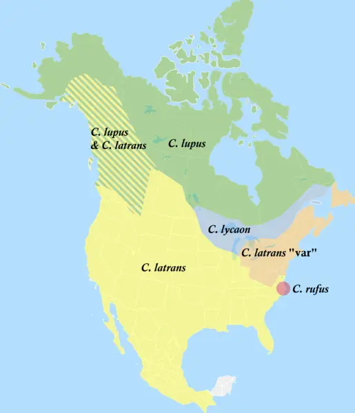 Eastern Wolf habitat map