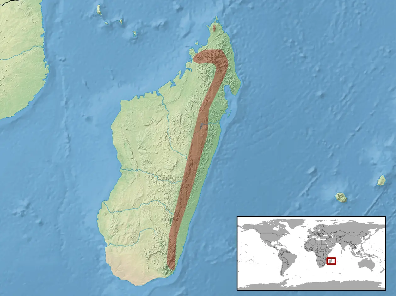 Uroplatus sikorae habitat map