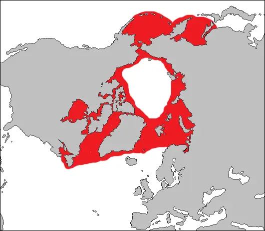 Foca barbuda mapa del hábitat