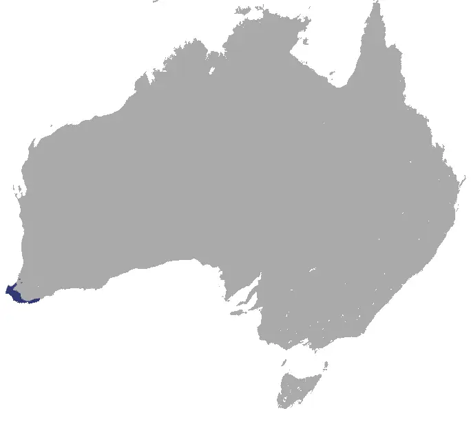 Western ringtail possum habitat map