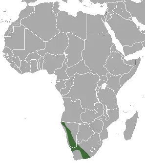 Western rock elephant shrew habitat map
