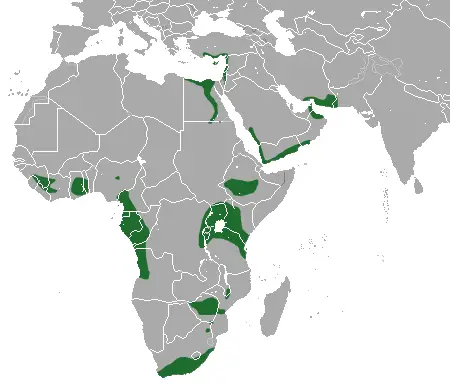 Egyptian Fruit Bat habitat map