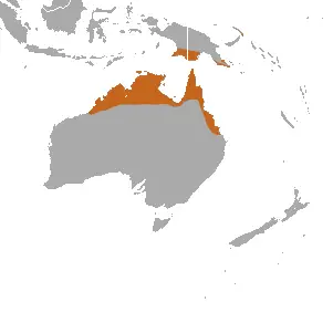 Agile Wallaby habitat map