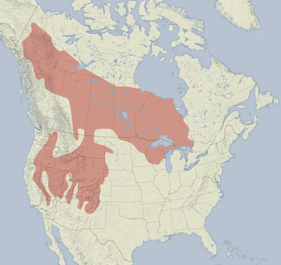 Least Chipmunk habitat map