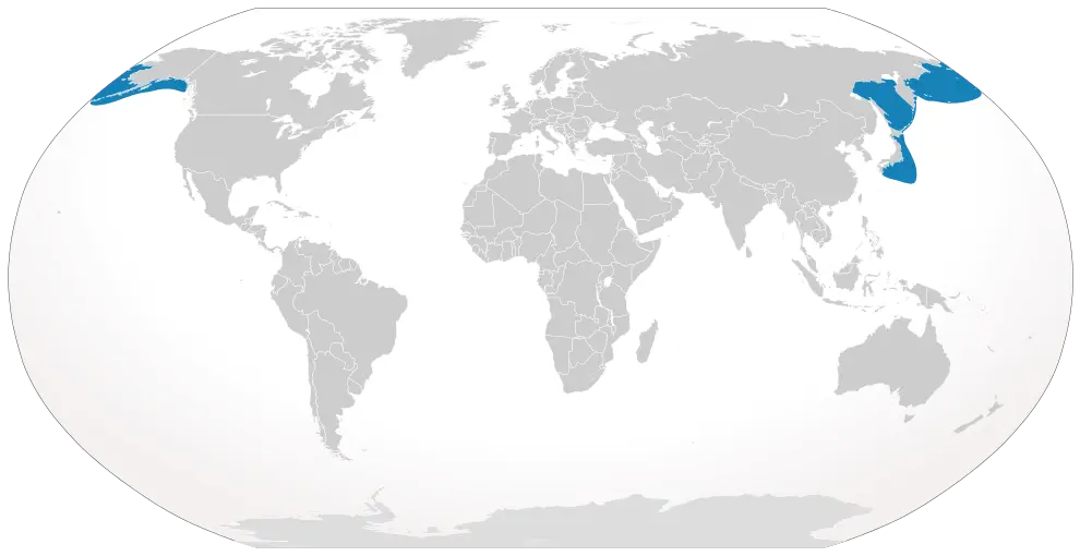 Eubalaena japonica карта середовища проживання