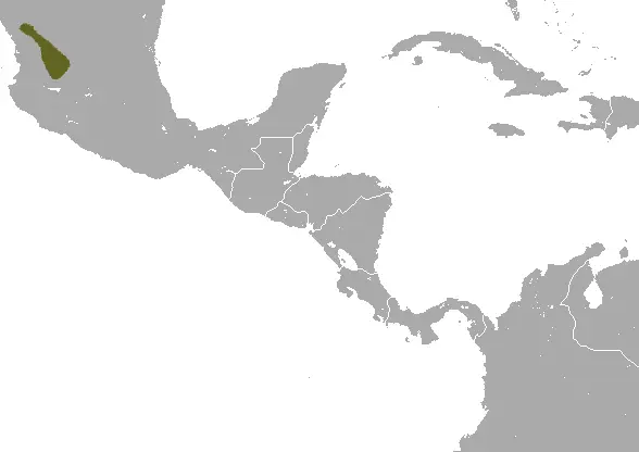 Zacatecas shrew habitat map