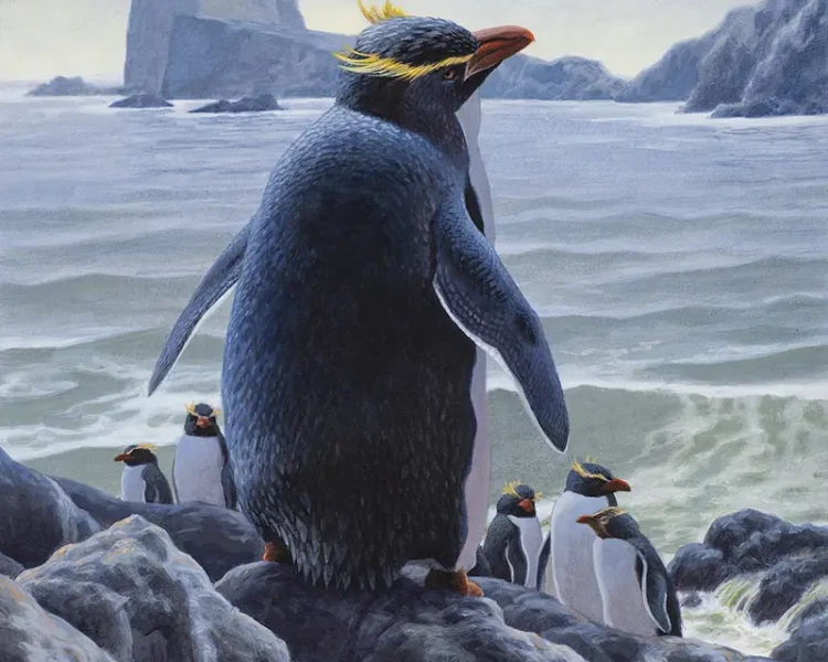 Pingüino de chatham
