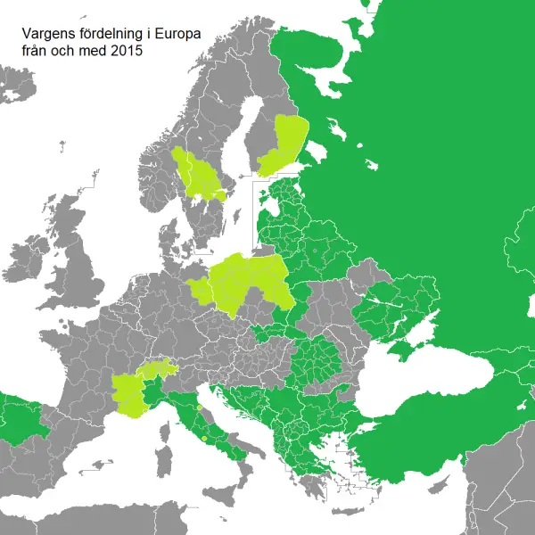 Range of Canis lupus in Europe, based on Canis lupus European regional assessment, IUCN, Large Carnivore Initiative for Europe and One, no one, or one hundred thousand: how many wolves are there currently in Italy?. Lime colour stands for population lower
