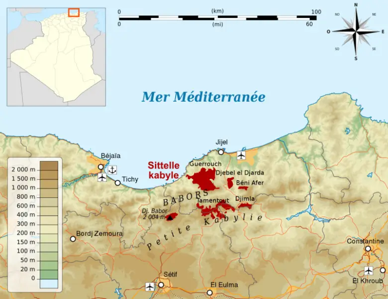 Algerian Nuthatch (Sitta ledanti) distribution map according to Karim Haddad &amp; Larbi Afoutni (2019). This species lives only in the mountain forests of Petite Kabylie.Fran?ais&#x202f;&#x3a;&#32; Carte de r?partition de la Sittelle kabyle (Sitta ledant