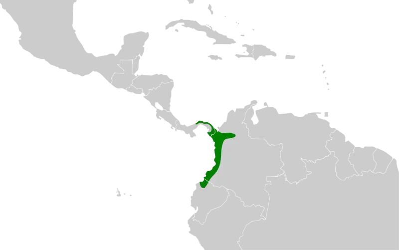 Range map of Sapayoa (Sapayoa aenigma)