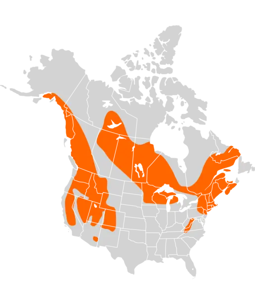 Distribution of the American Water Shrew (Sorex palustris) with http://www.mnh.si.edu/mna/thumbnails/maps/322.gif