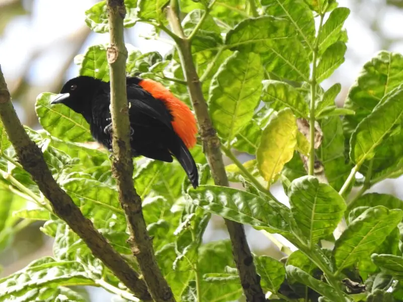 Photo taken near Golfito, Costa Rica at Casa Orquidias.