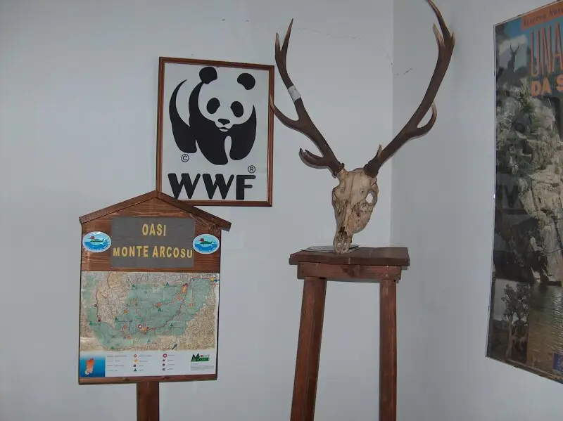 WWF Oasis of Monte Arcosu (Sardinia, Italy)