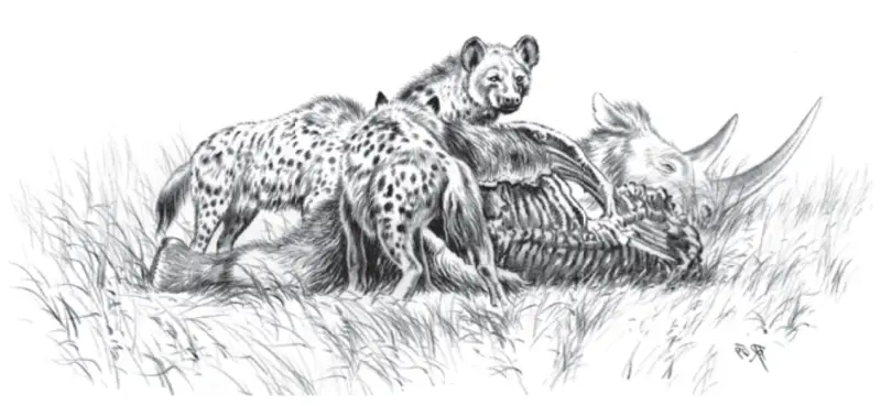 Artistic depiction of cave hyenas butchering wooly rhino