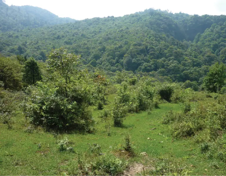 In the vicinity of Tram Ton Station of Hoang Lien National Park: mixed evergreen forest; forested banks of small streams; open grassy glades. Type location of Crocidura sapaensis.