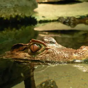 0729_31_nyc aquarium