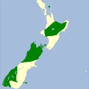 Aproximated distribution of the New Zealand Robin (Petroica australis) based on: Heather,B. y Robertson, H. (2005) "The Field Guide to the Birds of New Zealand" Penguin Books. ISBN&#160;978-0-14-302040-0