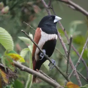 Rionegro, Antioquia, Colombia