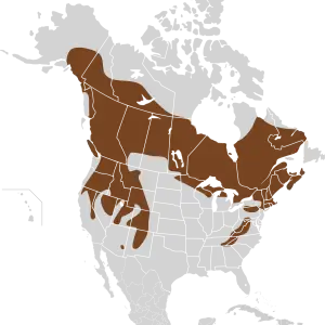 Range map of American water shrew
