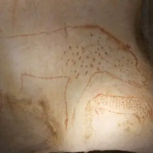 Bear (according to the front) and panther (according to the tail). Pont d'Arc cave (copy of the Chauvet Cave).
