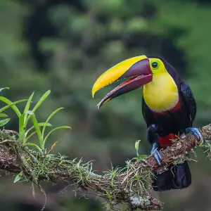 Taken in Costa Rica.