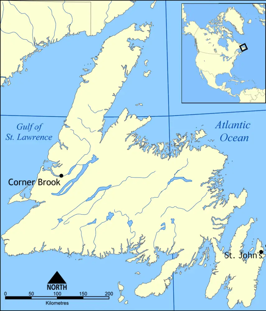    Newfoundland I Region Newfoundland Map.webp