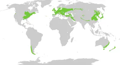 northwest coniferous forest map